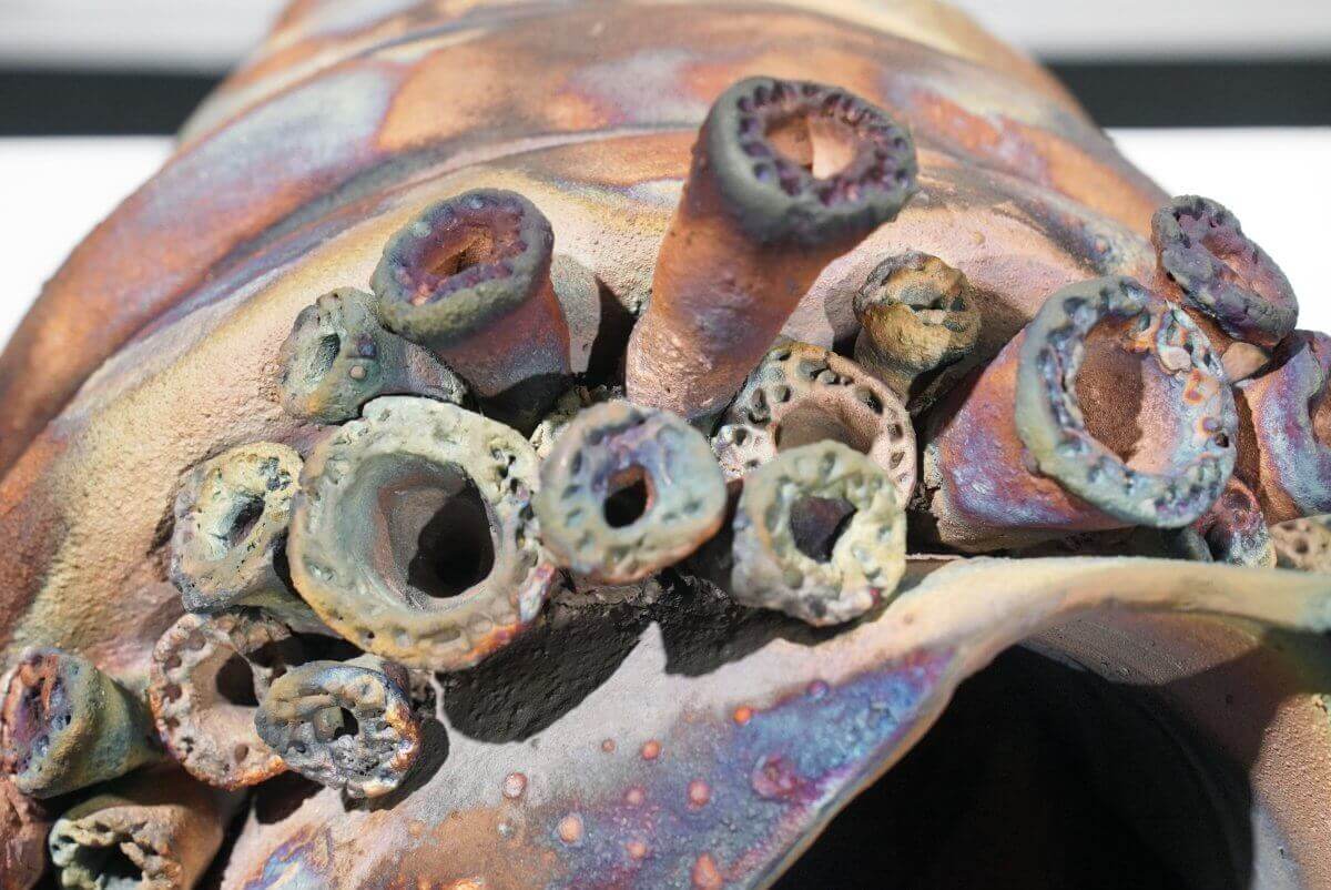 Home - life magnified collection raku ceramic pottery sculpture by Adil Ghani - RAAQUU