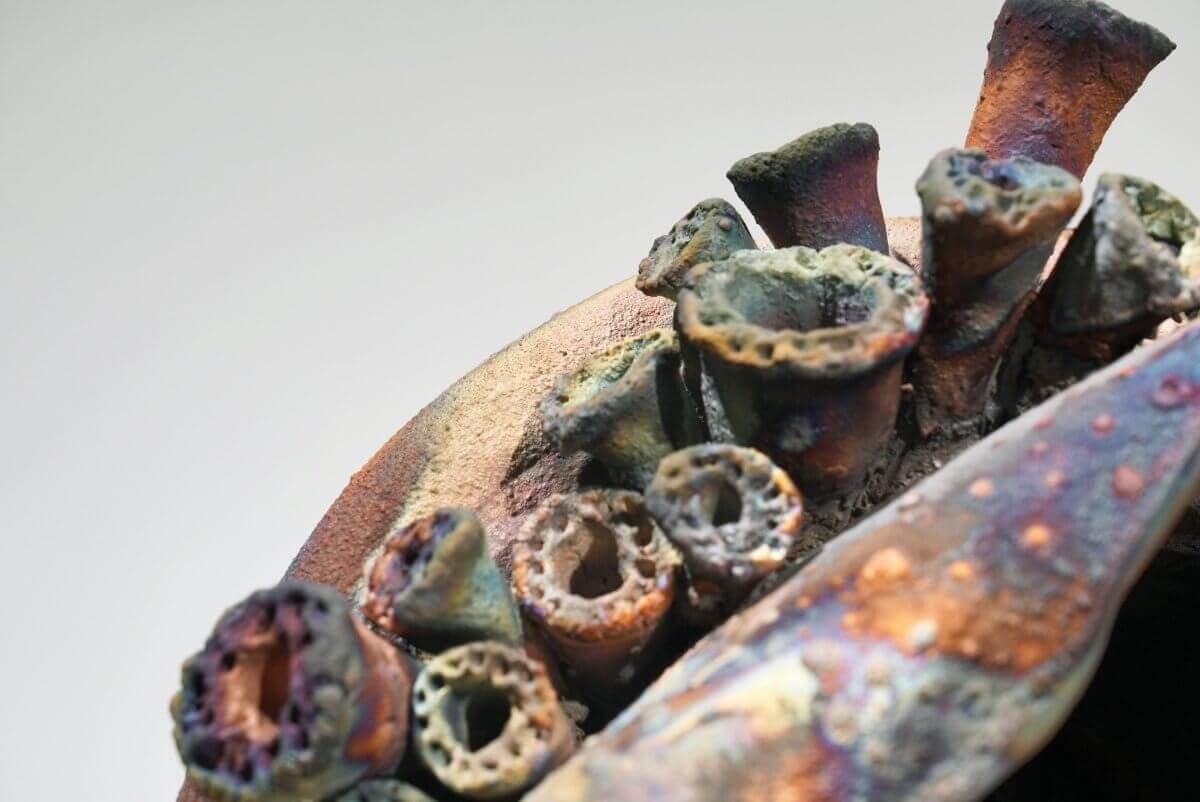 Home - life magnified collection raku ceramic pottery sculpture by Adil Ghani - RAAQUU