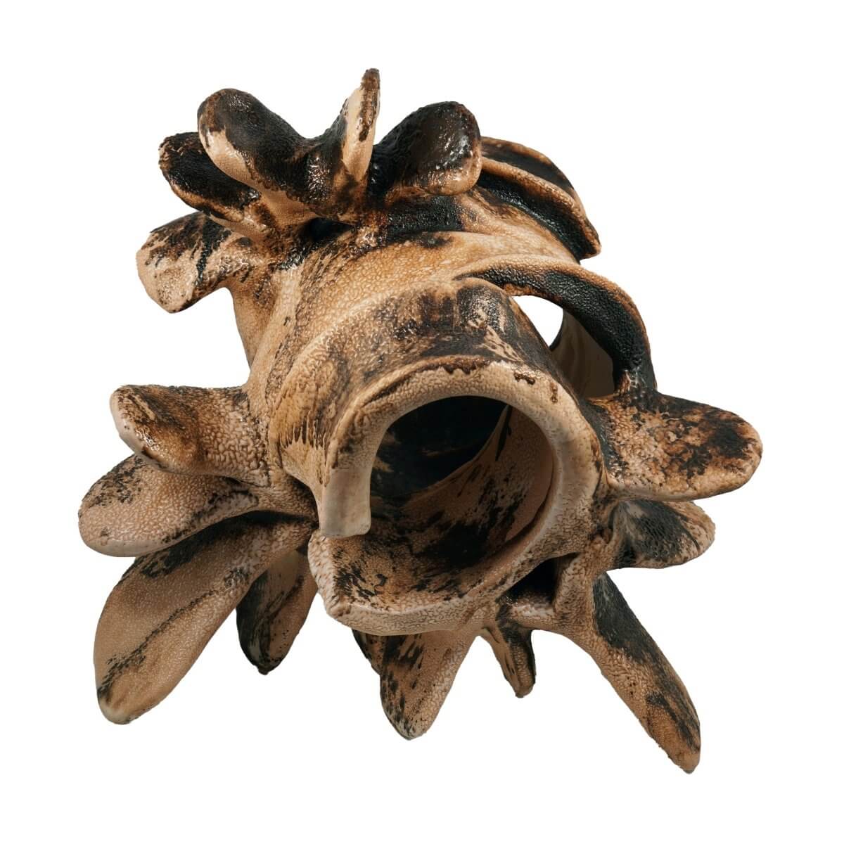 Bone series no. 1 - Bones collection raku ceramic pottery sculpture by Adil Ghani Unique Handmade ceramic pottery raku vases, urns, and home decor, sculptures, wall decor, gifts by Adil Ghani