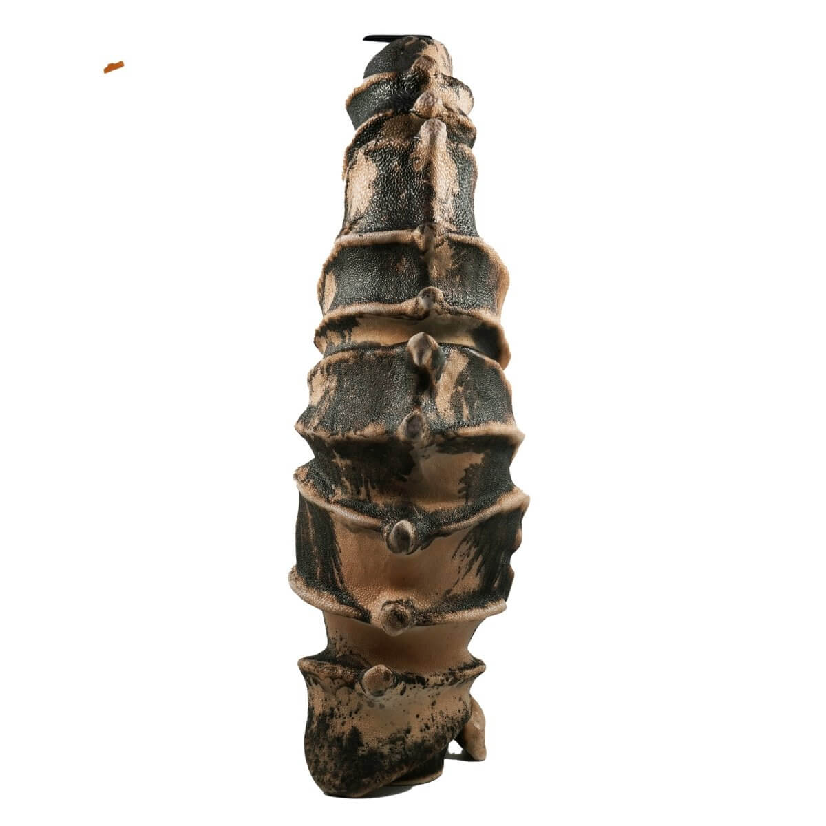 Bone series no. 3 - Bones collection raku ceramic pottery sculpture by Adil Ghani Unique Handmade ceramic pottery raku vases, urns, and home decor, sculptures, wall decor, gifts by Adil Ghani