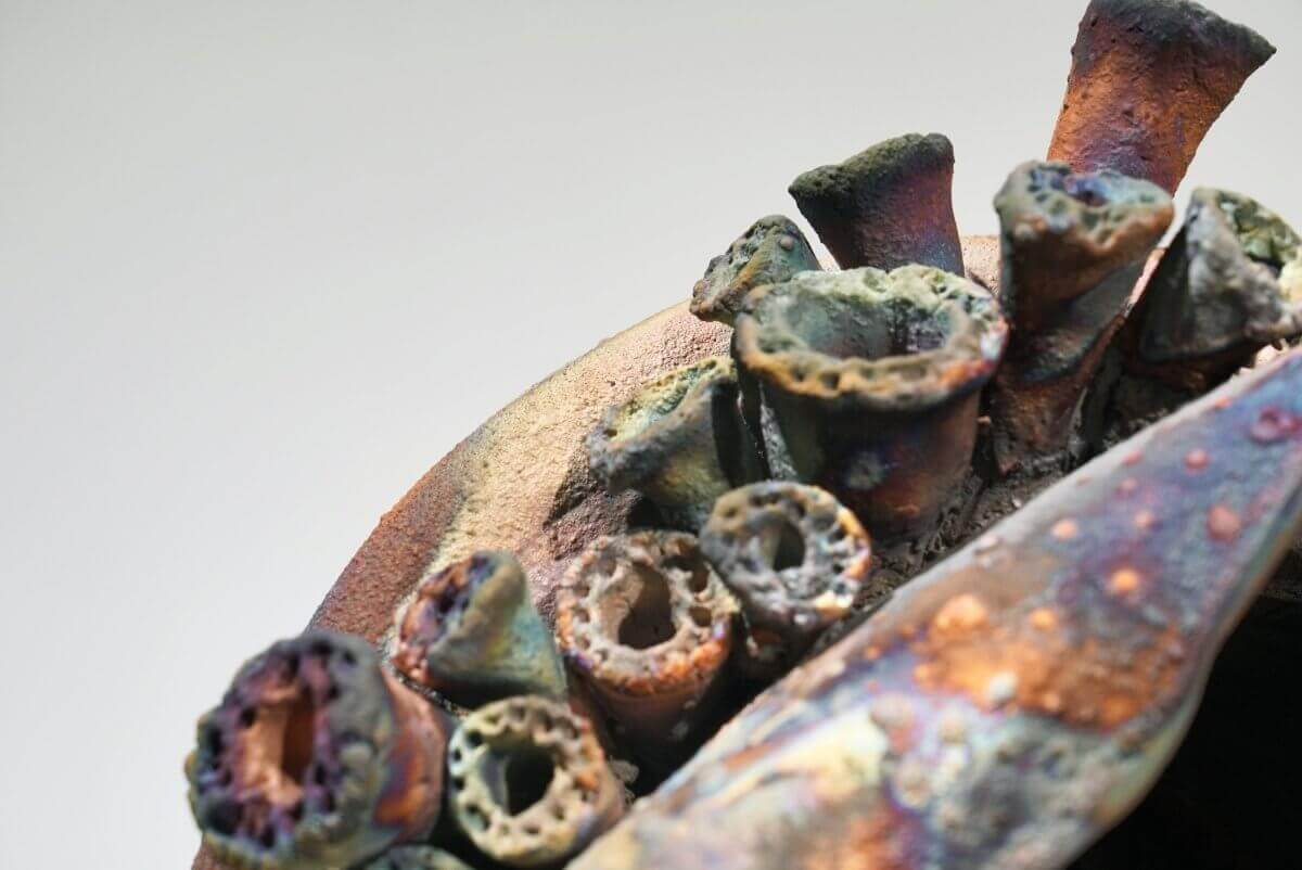 Home - life magnified collection raku ceramic pottery sculpture by Adil Ghani Unique Handmade ceramic pottery raku vases, urns, and home decor, sculptures, wall decor, gifts by Adil Ghani
