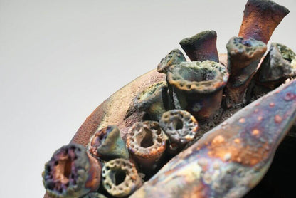 Home - life magnified collection raku ceramic pottery sculpture by Adil Ghani Unique Handmade ceramic pottery raku vases, urns, and home decor, sculptures, wall decor, gifts by Adil Ghani