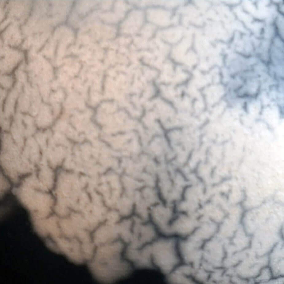 2 Pack Koban Ceramic Raku Vases with Water Tube Unique Handmade ceramic pottery raku vases, urns, and home decor, sculptures, wall decor, gifts by Adil Ghani