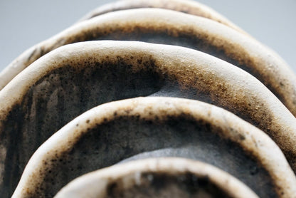 Thoughts - life magnified collection raku ceramic pottery sculpture by Adil Ghani Unique Handmade ceramic pottery raku vases, urns, and home decor, sculptures, wall decor, gifts by Adil Ghani