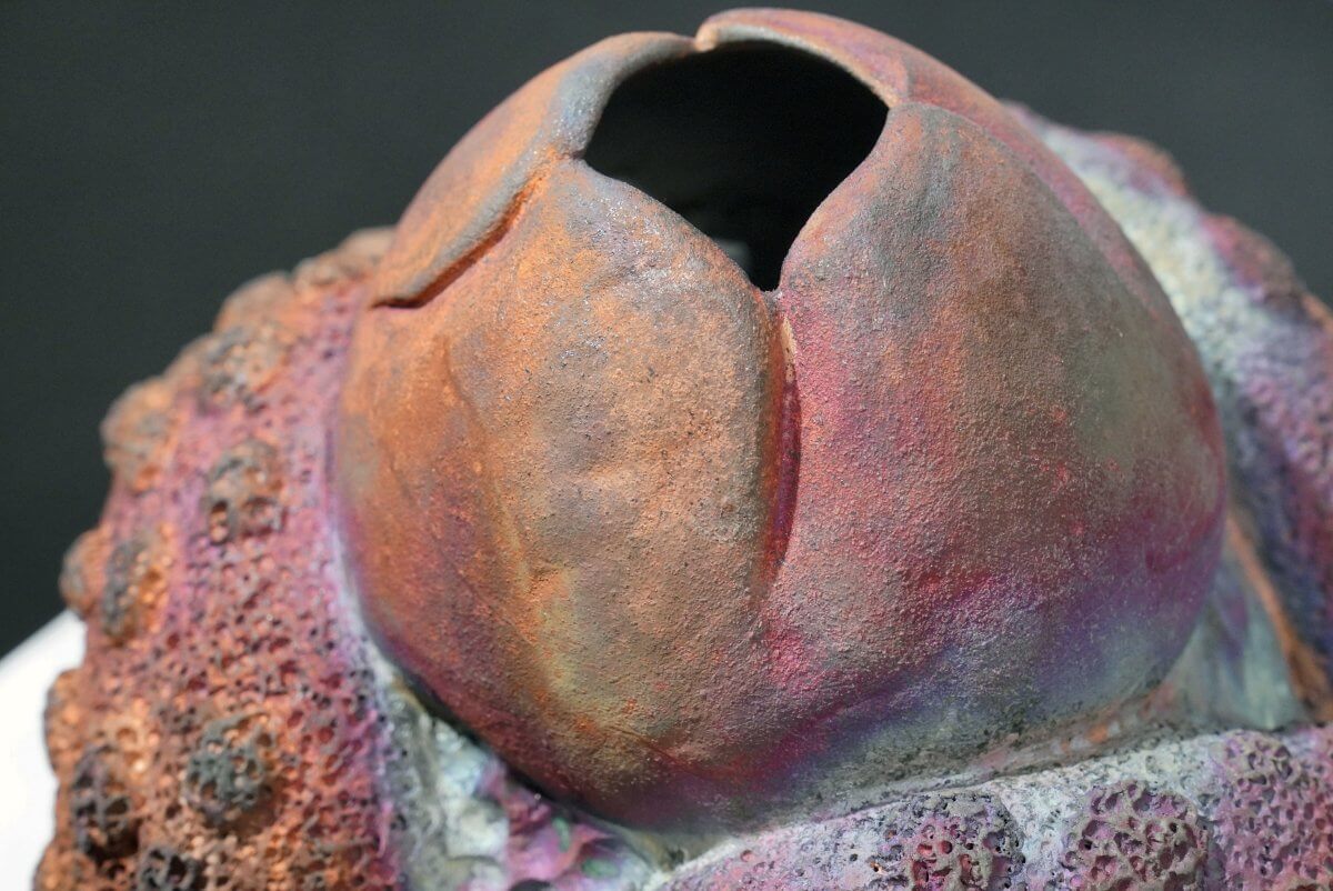 Youth - life magnified collection raku ceramic pottery sculpture by Adil Ghani - RAAQUU