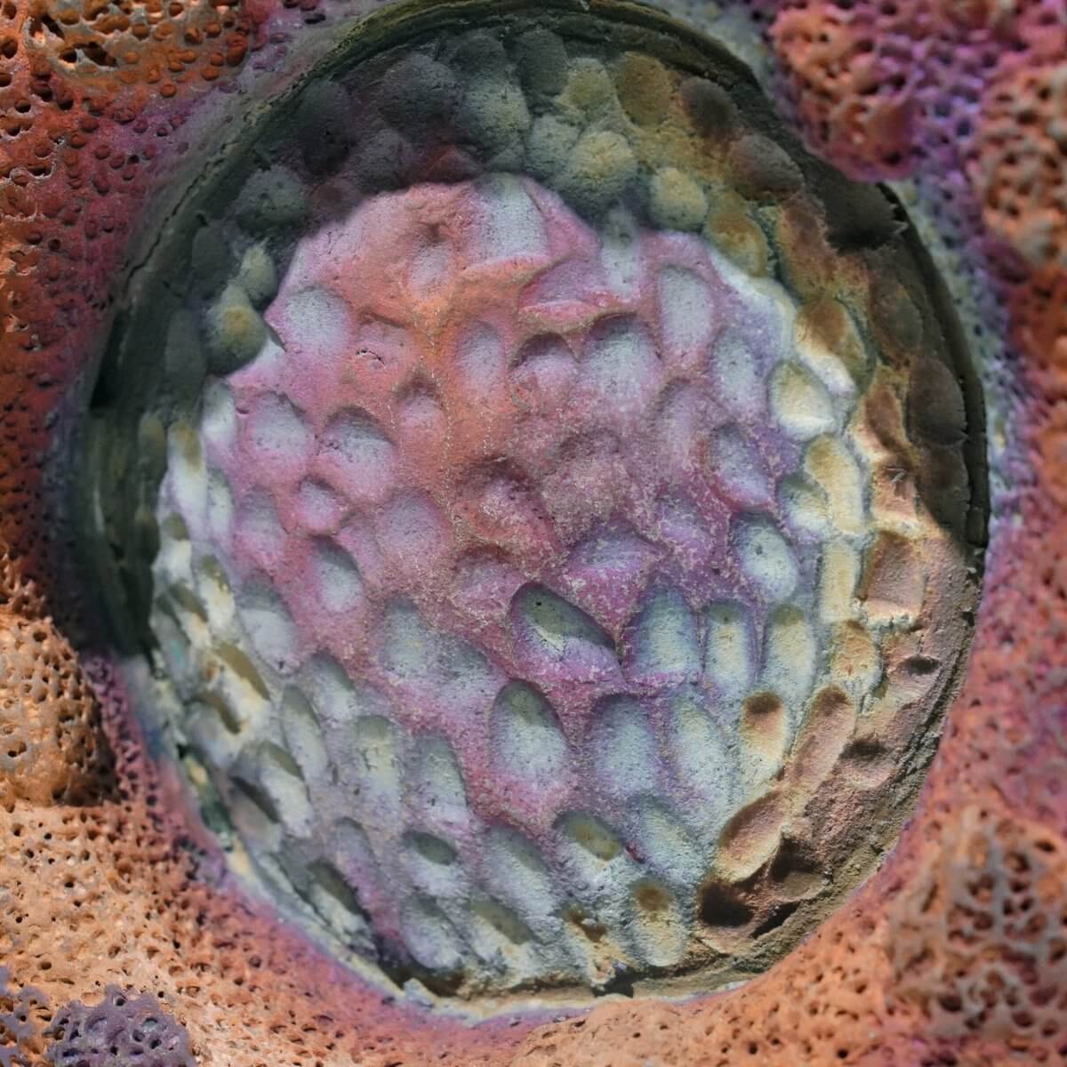 Youth - life magnified collection raku ceramic pottery sculpture by Adil Ghani Unique Handmade ceramic pottery raku vases, urns, and home decor, sculptures, wall decor, gifts by Adil Ghani